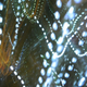 Illustration for article titled Photo Contest: Christmas Lights